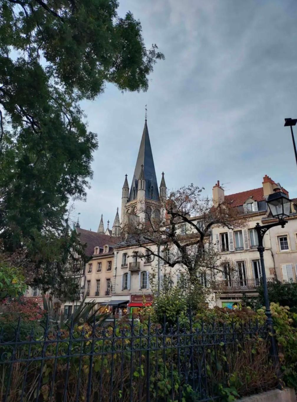 Apartamento Le Charme Dubois Dijon Exterior foto
